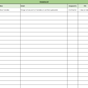 Snagging List - Template