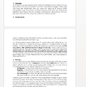 Employment Contract - Points and Advice